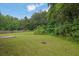 Green backyard with manicured lawn and mature trees, offering privacy and space at 3513 Newtons Crest Cir, Snellville, GA 30078