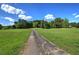 Long paved driveway leading to a secluded home amidst a lush, green landscape under a blue sky at 3695 Highway 140, Rydal, GA 30171