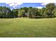 Expansive green lawn leads to a charming home nestled among mature trees and a winding driveway at 3695 Highway 140, Rydal, GA 30171