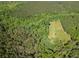 An aerial view showcasing a verdant property surrounded by dense trees with an open meadow at 2520 Hollonville, Brooks, GA 30205