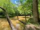 Tranquil view of the creek with trees lining the bank and overhanging branches at 2520 Hollonville, Brooks, GA 30205