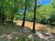 Peaceful creek view with a sandy shore, lined with trees, offers a serene escape at 2520 Hollonville, Brooks, GA 30205