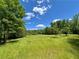 Scenic view of a large grassy field surrounded by mature trees on a sunny day at 2520 Hollonville, Brooks, GA 30205
