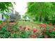 A spacious backyard featuring lush lawn, mature trees, and vibrant rose bushes at 533 Beecham Dr, Smyrna, GA 30082