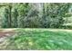 Sprawling green backyard is heavily wooded, offering a private, nature-filled retreat at 1450 Holly Bank Cir, Atlanta, GA 30338