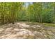 Spacious backyard with a volleyball net, perfect for outdoor recreation and enjoying the natural surroundings at 1981 Luke Edwards Rd, Dacula, GA 30019