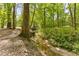 Creek winding through lush trees, providing a tranquil and serene setting in the landscape at 1981 Luke Edwards Rd, Dacula, GA 30019