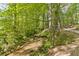 Creek surrounded by lush greenery, with mature trees offering shade and scenic beauty at 1981 Luke Edwards Rd, Dacula, GA 30019