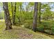 Scenic view of a creek with lush vegetation and mature trees, highlighting the natural beauty at 1981 Luke Edwards Rd, Dacula, GA 30019