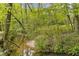 Lush greenery surrounds the creek, with trees providing shade and serenity to the landscape at 1981 Luke Edwards Rd, Dacula, GA 30019