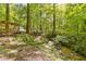 Creek flowing near an outdoor seating area and surrounded by lush trees, adding to the tranquil ambiance at 1981 Luke Edwards Rd, Dacula, GA 30019