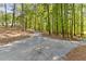 A long driveway bordered by a lush, green forest at 1981 Luke Edwards Rd, Dacula, GA 30019