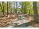 A long driveway leads up to a residence surrounded by a lush green forest at 1981 Luke Edwards Rd, Dacula, GA 30019