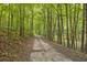 Scenic driveway winding through the forest, leading to a peaceful retreat surrounded by natural beauty at 1981 Luke Edwards Rd, Dacula, GA 30019