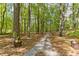 Scenic gravel path through a lush, green forest with trees and natural light at 1981 Luke Edwards Rd, Dacula, GA 30019
