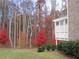 Scenic backyard view with colorful fall foliage surrounding the landscaped lawn of the brick home at 608 Tabbystone Nw St, Marietta, GA 30064