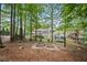 Large, wooded backyard with mature trees, offering privacy and a natural setting, with space for gardening at 227 Cedarhurst Dr, Canton, GA 30115