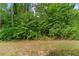 Backyard surrounded by lush green trees at 6237 Thorncrest Dr # 10, Tucker, GA 30084
