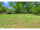 Large backyard featuring lush green grass and mature trees at 4356 Executive Dr, Stone Mountain, GA 30083