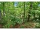 Wooded backyard with a lush green landscape at 4514 Creekwood Nw Cir, Kennesaw, GA 30152