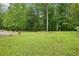 Large grassy backyard with mature trees and landscaping at 3641 Willow Club Dr, Loganville, GA 30052