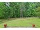 Large backyard with green grass and lots of trees providing privacy at 3641 Willow Club Dr, Loganville, GA 30052
