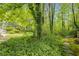 Picturesque backyard features vibrant greenery and a stone pathway, leading to a peaceful and serene setting at 4774 Olde Village Ln, Atlanta, GA 30338