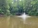 Scenic pond view with central fountain and wooden dock at 5004 Lake Mist Se Dr, Smyrna, GA 30126