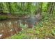A creek flows through a lush, green, wooded area, offering a serene and natural setting at 9438 Cedar Creek Pl, Douglasville, GA 30135