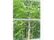 Looking through a window at a background of lush green trees at 3902 Bouldercrest Se Rd, Ellenwood, GA 30294
