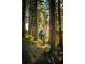 Bike trail through the forest at 1028 Riverbend Club Se Dr, Atlanta, GA 30339