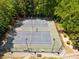 Birds eye view of the tennis court featuring two courts and surrounded by trees at 11865 Brisbane Dr, Alpharetta, GA 30009