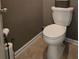 Standard toilet with gray-painted walls and tile flooring providing a functional bathroom space at 106 Trailside Way, Hiram, GA 30141