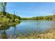 Scenic view of a serene lake surrounded by lush greenery and trees, creating a peaceful and natural setting at 516 Winder Trl, Canton, GA 30114