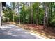 Backyard features a concrete patio and green space at 3563 Brenda Ct, Douglasville, GA 30135