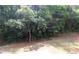 Backyard is surrounded by many different trees and shrubbery at 3877 Lake Sanctuary Way, Atlanta, GA 30349