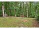 A sprawling backyard with a gently sloping lawn, mature trees, and lush greenery, offering a serene outdoor space at 5259 Sugar Ridge Dr, Sugar Hill, GA 30518