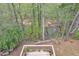 Backyard view overlooking lush green trees and a glimpse of the serene river at 3819 Shane Ct, Ellenwood, GA 30294