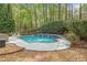 Backyard pool area features an in-ground pool surrounded by mature trees and privacy hedges at 250 Chason Wood Way, Roswell, GA 30076