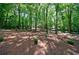 Backyard full of mature green trees and mulch ground cover at 1348 Timberland Se Dr, Marietta, GA 30067