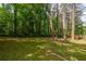 Large grassy backyard, ideal for outdoor activities and enjoying nature at 2889 Macon Sw Dr, Atlanta, GA 30354