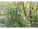 Lush backyard featuring mature trees and providing a secluded outdoor space at 6595 Oakwood Dr, Douglasville, GA 30135
