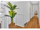 Light-filled hallway with hardwood floors, white railing, and a decorative plant at 209 Wildwood Way, Canton, GA 30114