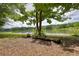 Picturesque lakeside scene with a tree, log, and serene water at 116 Woolsey Creek Trl, Fayetteville, GA 30215