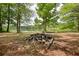 Relaxing lake spot with a campfire area, surrounded by mature trees at 116 Woolsey Creek Trl, Fayetteville, GA 30215