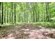 Woodland trail featuring a path leading through lush trees and foliage at 116 Woolsey Creek Trl, Fayetteville, GA 30215