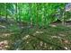 Backyard stream flowing through a lush, green wooded area, creating a tranquil outdoor setting at 7014 E Hills Way, Woodstock, GA 30189