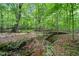 Lush, green wooded area with a small stream and natural landscaping at 2967 Albright Cmns, Kennesaw, GA 30144