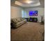 Spacious living room featuring comfortable seating, a ceiling fan, and carpet flooring at 305 Anise Ct, Mcdonough, GA 30252