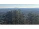 Scenic view showcasing tree-covered mountains and distant peaks from the home's location at 231 Laurel Vista Dr, Canton, GA 30114